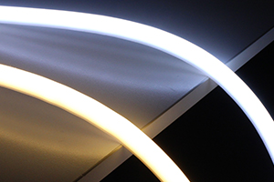 LEDネオンライト-M3エビ型写真1