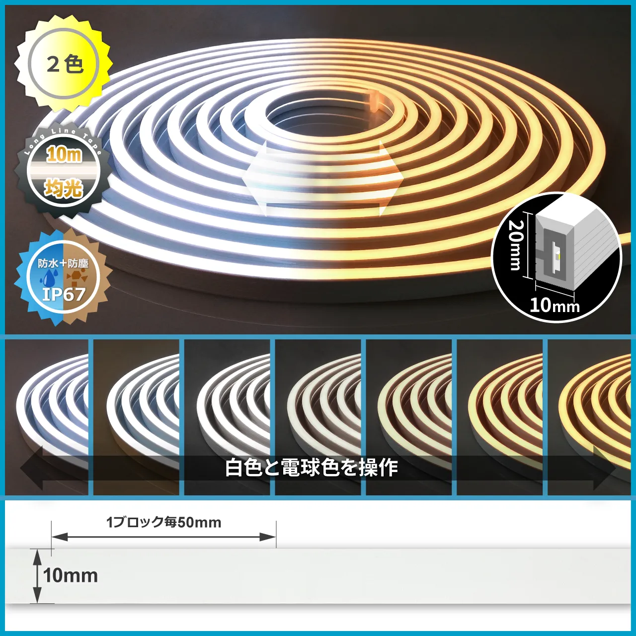 24V LEDネオンライト ロング2色