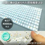LEDシートライト 24V 単色